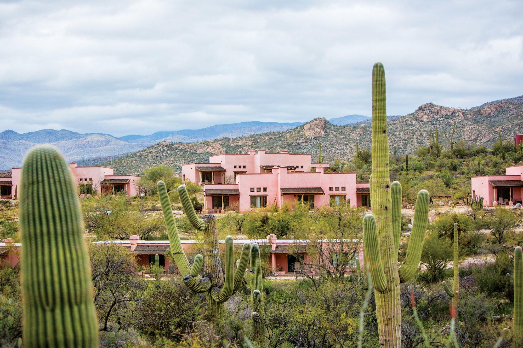 Tanque Verde Guest Ranch Tucson Luaran gambar